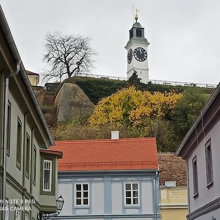 Zlatica Petrovaradin Zewnętrze zdjęcie