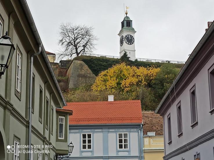 Zlatica Petrovaradin Zewnętrze zdjęcie